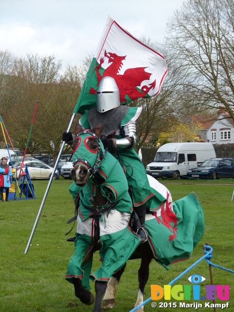 FZ013128 Welsh knight